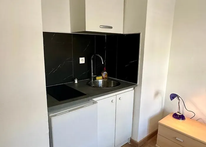 Appartement Sublime Studio En Hypercentre Avec Parking Prive 8 Mulhouse